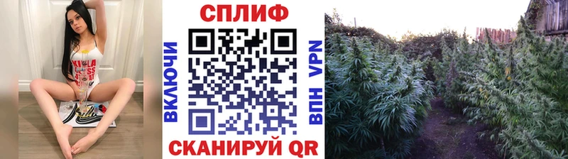 Метамфетамин Гаврилов Посад