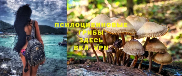 трава Алексеевка